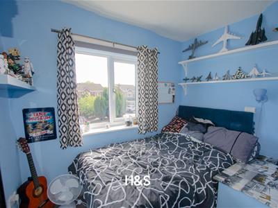 Picture 15